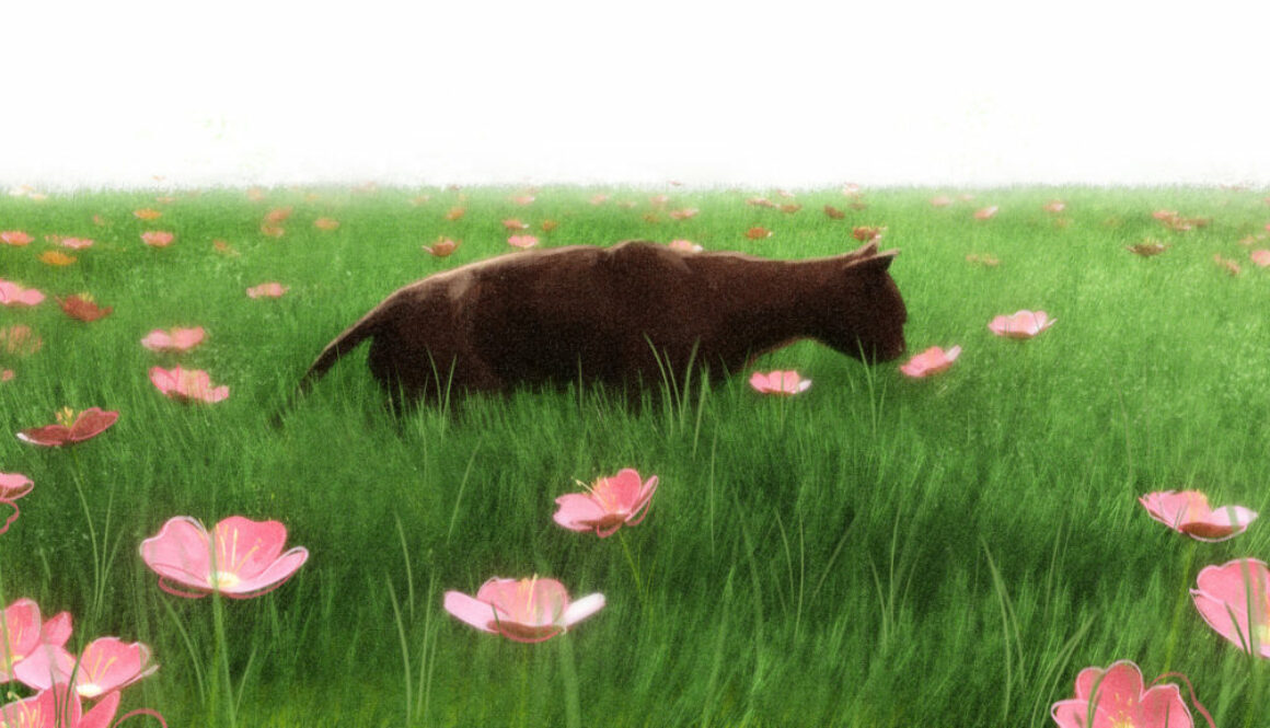 AWA_Image_1920x1080px